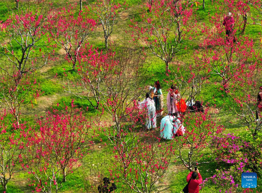 Galeria: Cenário da primavera em toda a China