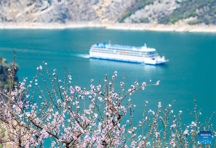 Galeria: Cenário da primavera em toda a China