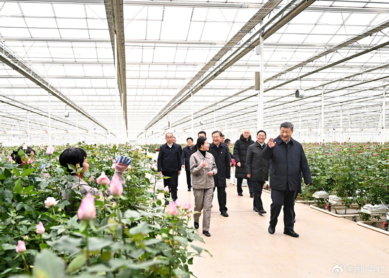 Xi Jinping visita parque industrial de flores na Província de Yunnan, sudoeste da China