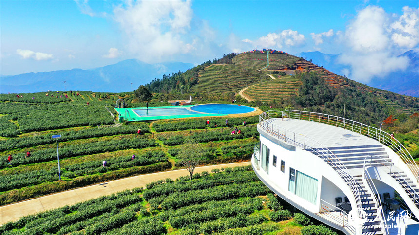 Galeria: colheita de chá pré-Qingming em Jiangxi