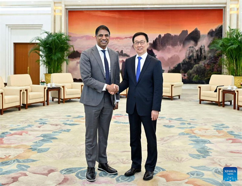 Vice-presidente chinês se reúne com presidente da Swire Pacific Limited e com CEO da Novartis