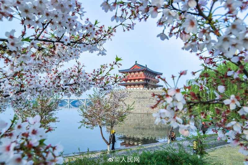 Luoyang: arquitetura antiga se cruza com a chegada da primavera