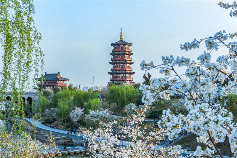 Luoyang: arquitetura antiga se cruza com a chegada da primavera