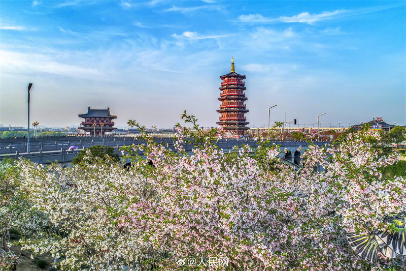 Luoyang: arquitetura antiga se cruza com a chegada da primavera