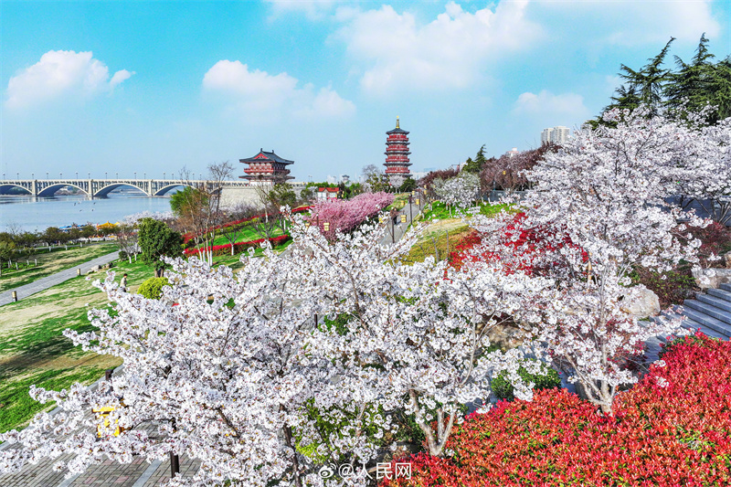 Luoyang: arquitetura antiga se cruza com a chegada da primavera