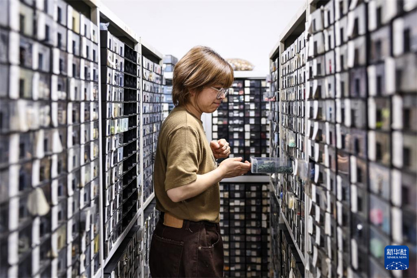 Zhejiang: Pequenos bot?es trazem grande mercado