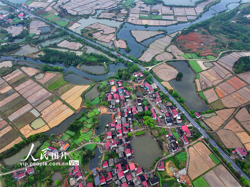 Jiangxi: aldeia de Wuxi repleta de cor após chegada da primavera