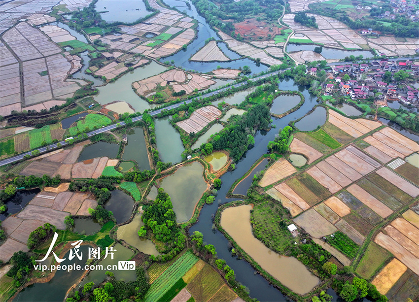 Jiangxi: aldeia de Wuxi repleta de cor após chegada da primavera