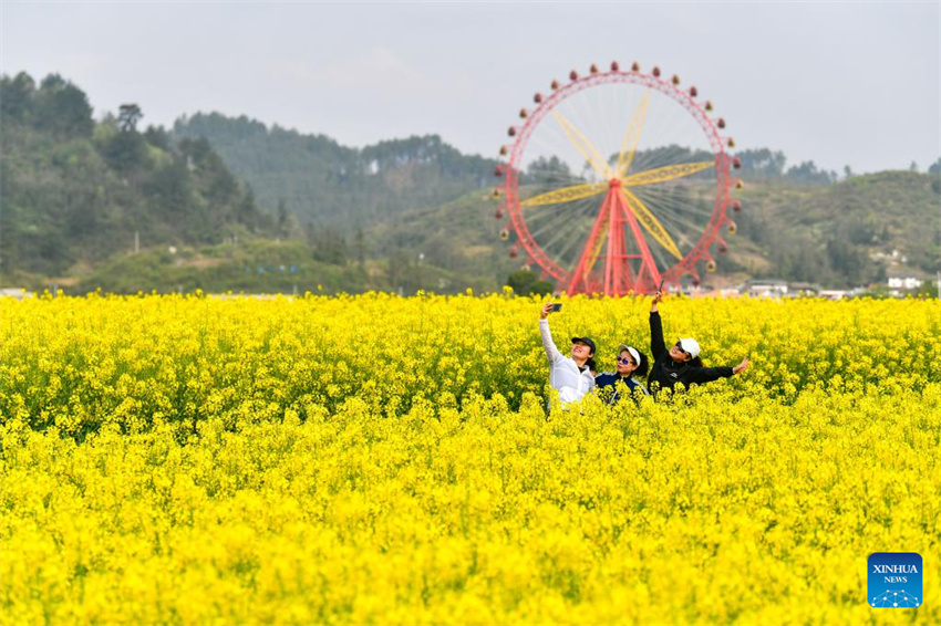 Flores desabrochando impulsionam turismo rural de Guizhou