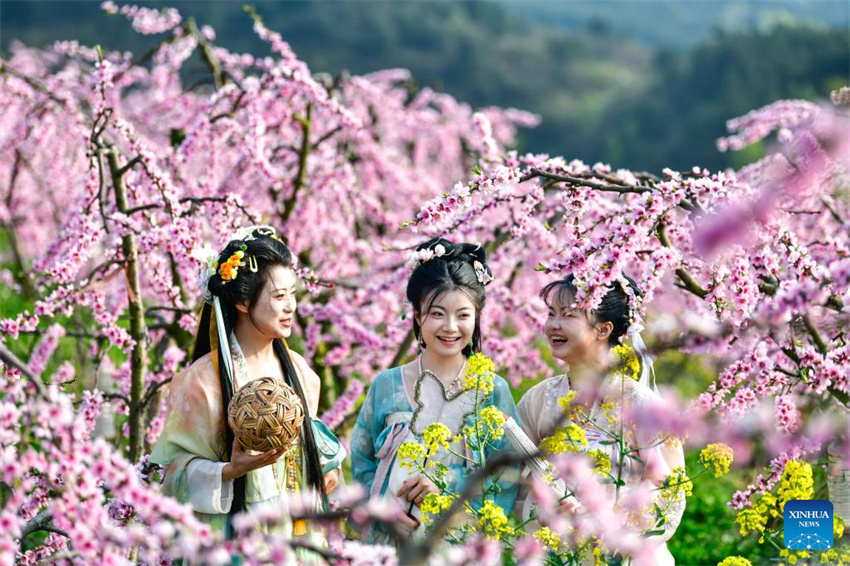 Flores desabrochando impulsionam turismo rural de Guizhou