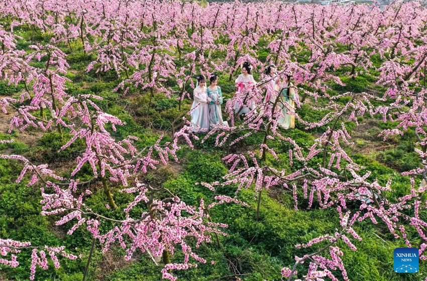 Flores desabrochando impulsionam turismo rural de Guizhou