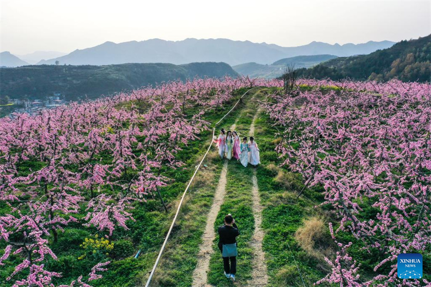 Flores desabrochando impulsionam turismo rural de Guizhou