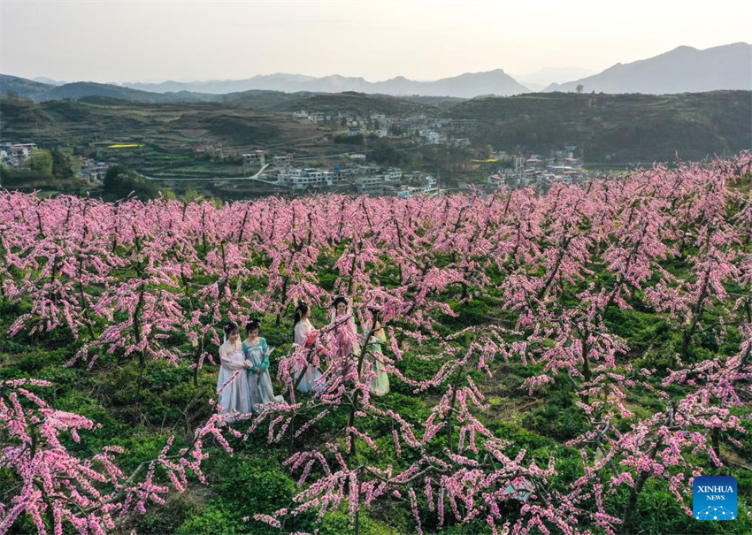 Flores desabrochando impulsionam turismo rural de Guizhou