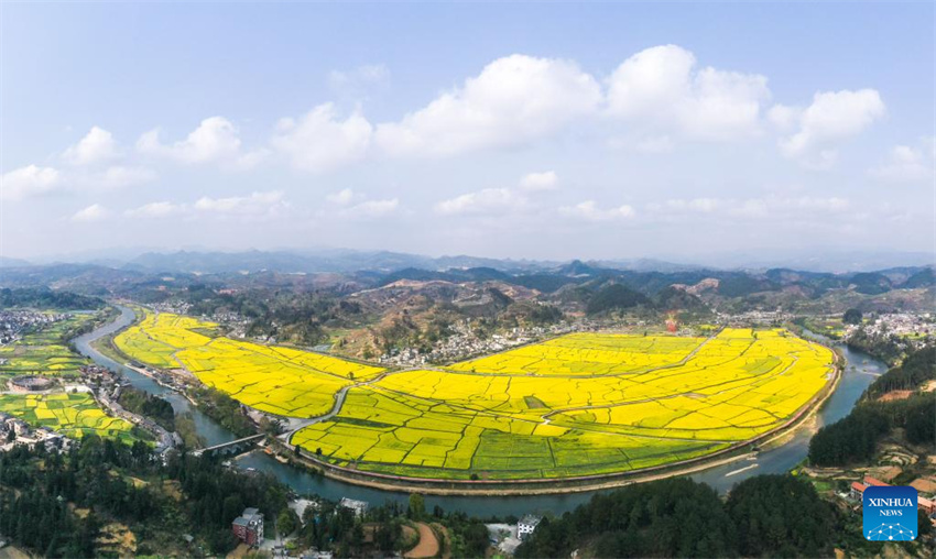 Flores desabrochando impulsionam turismo rural de Guizhou