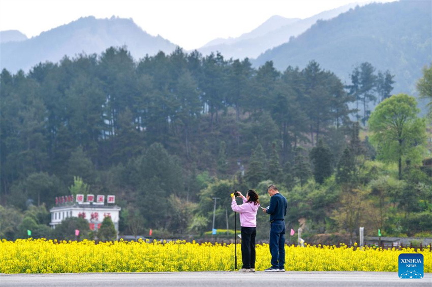 Flores desabrochando impulsionam turismo rural de Guizhou
