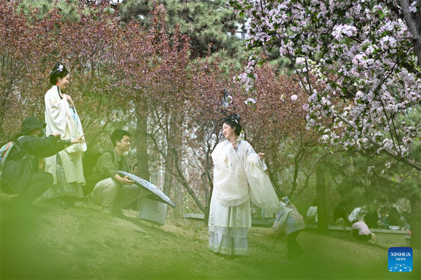 Chegada da primavera impulsiona turismo em toda a China