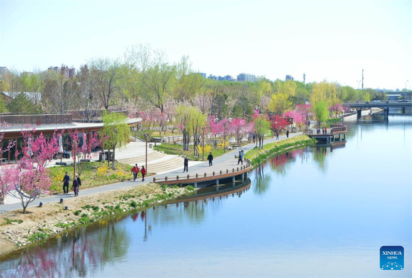 Chegada da primavera impulsiona turismo em toda a China