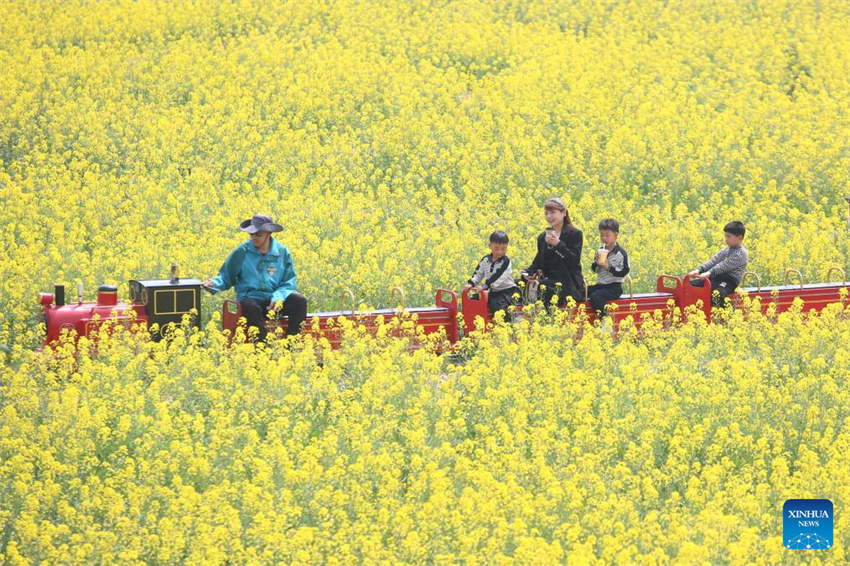 Chegada da primavera impulsiona turismo em toda a China