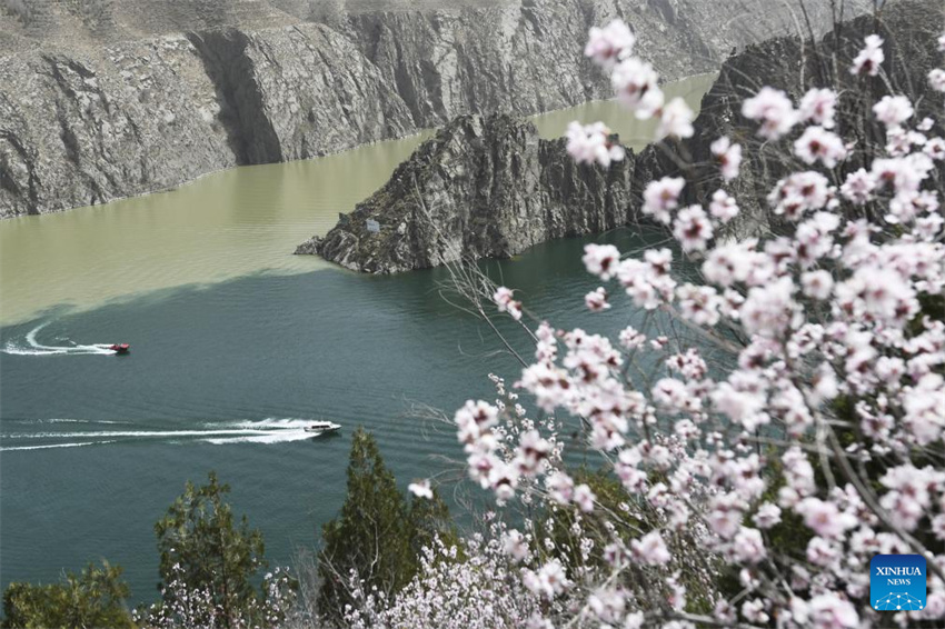 Chegada da primavera impulsiona turismo em toda a China