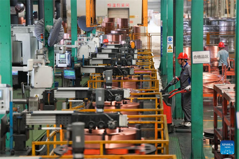 Zhuji promove desenvolvimento de qualidade no setor privado