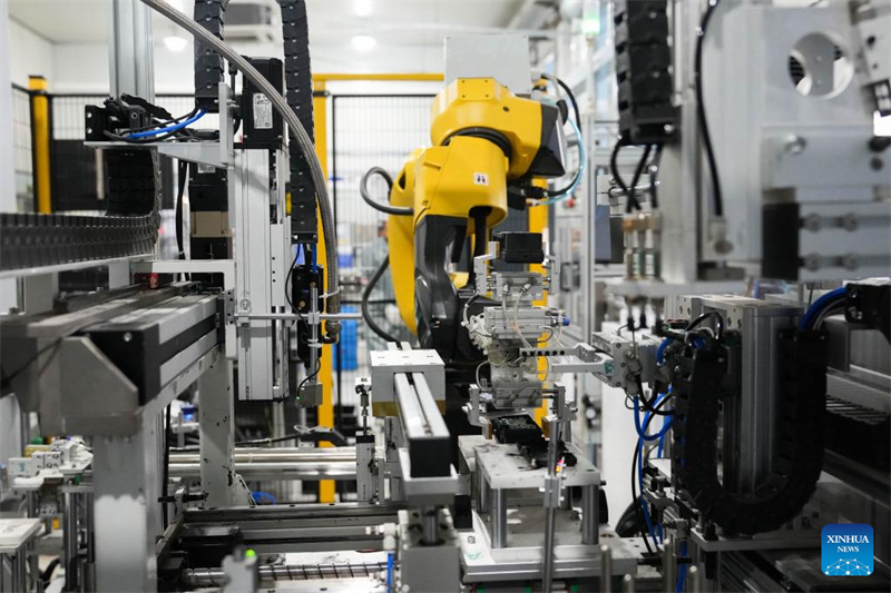 Zhuji promove desenvolvimento de qualidade no setor privado