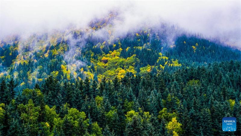 Vista do Geoparque Nacional de Kanbula em Qinghai, China