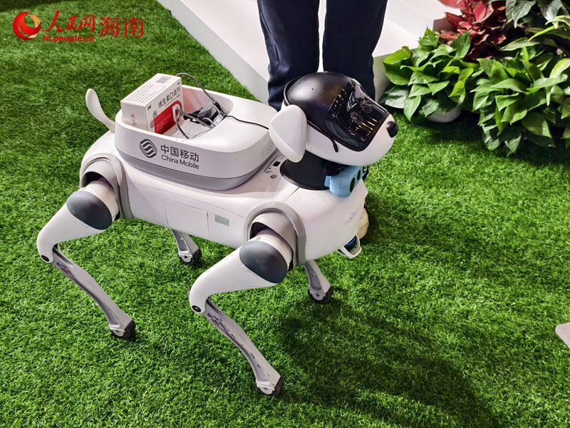 Exposi??o Internacional de Produtos de Consumo da China: tecnologias de IA em destaque