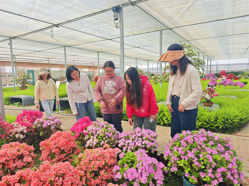 Zhejiang: cultivo de azaleas impulsa desenvolvimento local em Jiashan