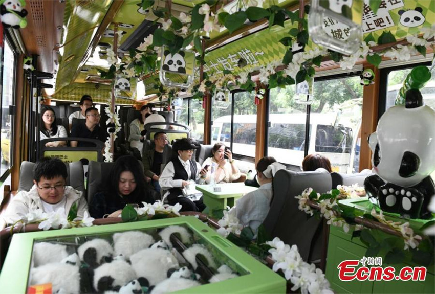 ?nibus com tema de panda estreia em Chongqing