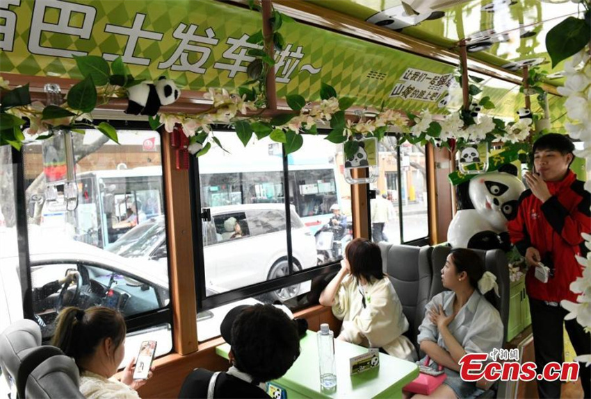 ?nibus com tema de panda estreia em Chongqing