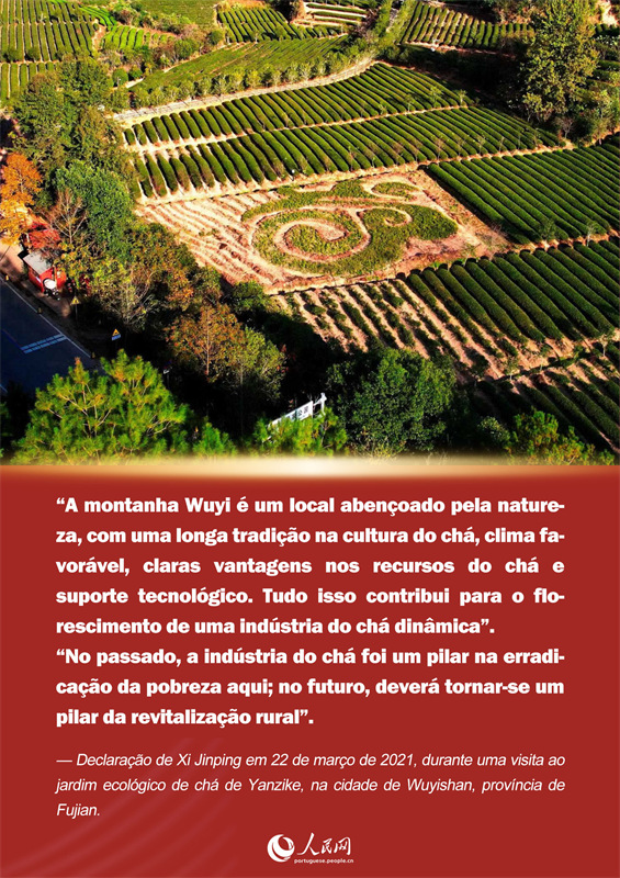 P?ster: resenha de Xi Jinping sobre o chá de Fujian