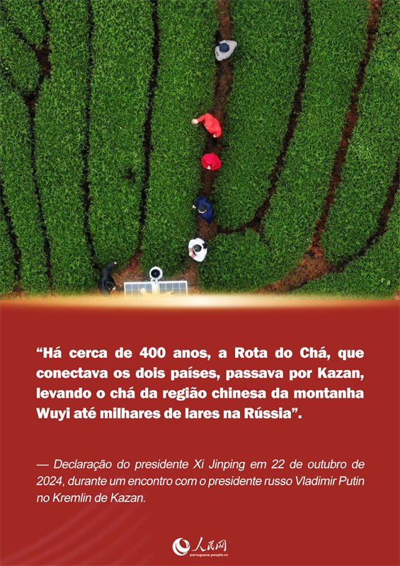 P?ster: resenha de Xi Jinping sobre o chá de Fujian