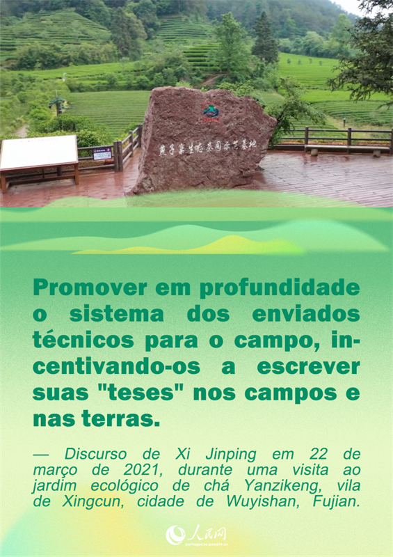 P?ster: Cita??es do presidente Xi Jinping sobre a revitaliza??o rural em Fujian