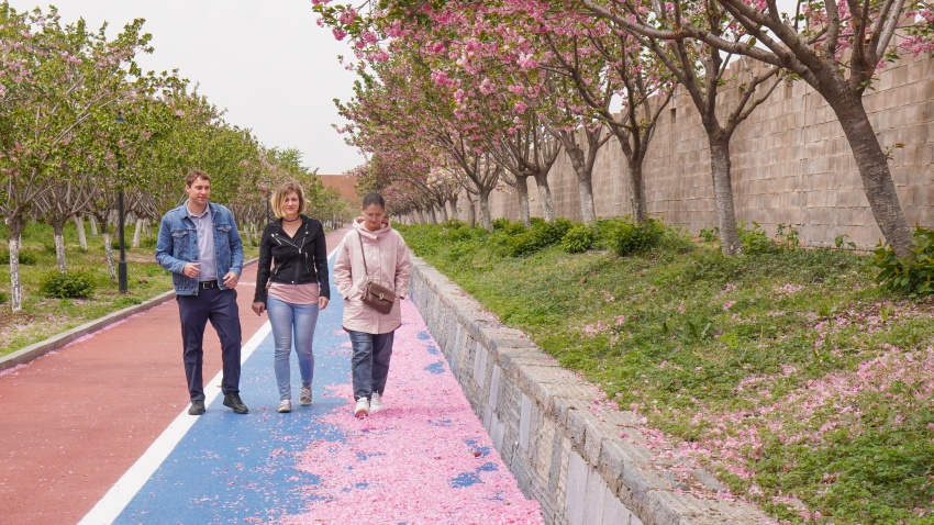 Mercado de turismo receptivo cresce em Anhui, leste da China