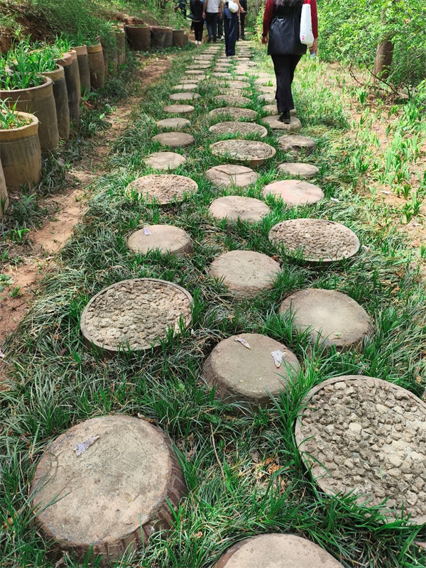 Luoyang: vila Aihe promove estética rústica no interior de Henan