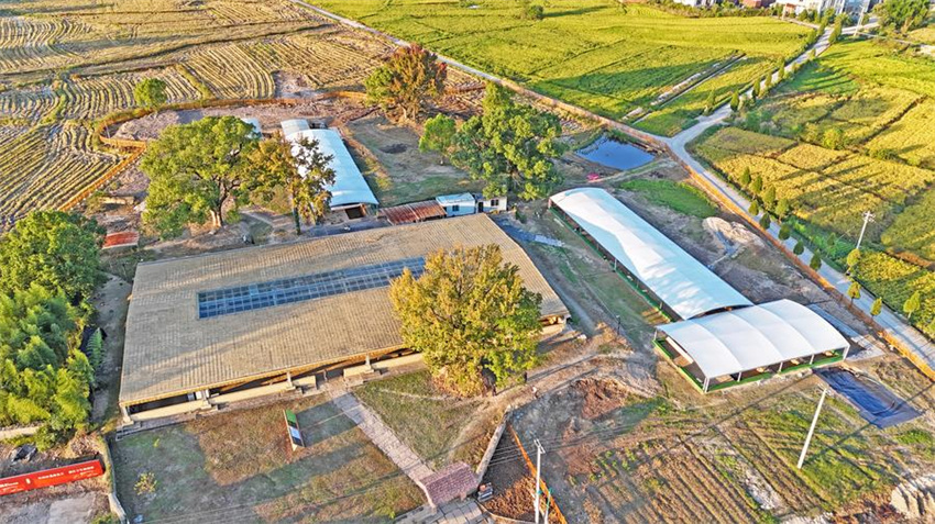 Principais descobertas arqueológicas chinesas para 2024 s?o reveladas