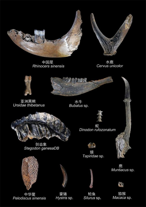 Principais descobertas arqueológicas chinesas para 2024 s?o reveladas