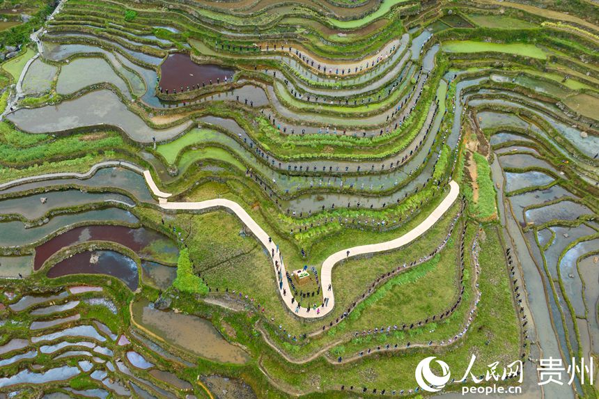 Guizhou: cerim?nia tradicional assinala início da colheita nos arrozais de Jiabang