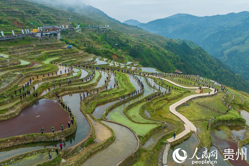 Guizhou: cerim?nia tradicional assinala início da colheita nos arrozais de Jiabang