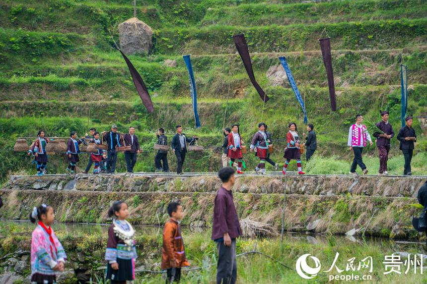 Guizhou: cerim?nia tradicional assinala início da colheita nos arrozais de Jiabang