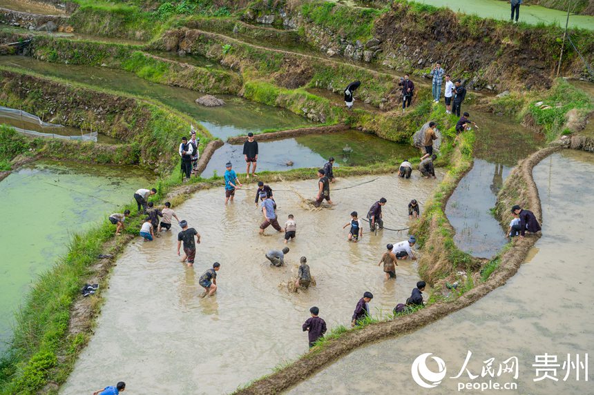 Guizhou: cerim?nia tradicional assinala início da colheita nos arrozais de Jiabang