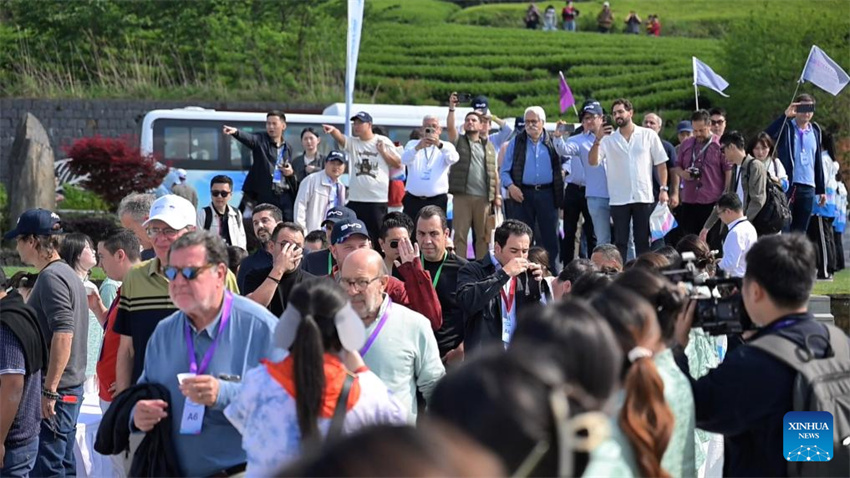 Concessionárias de veículos das Américas recebem mais veículos de novas energias chineses