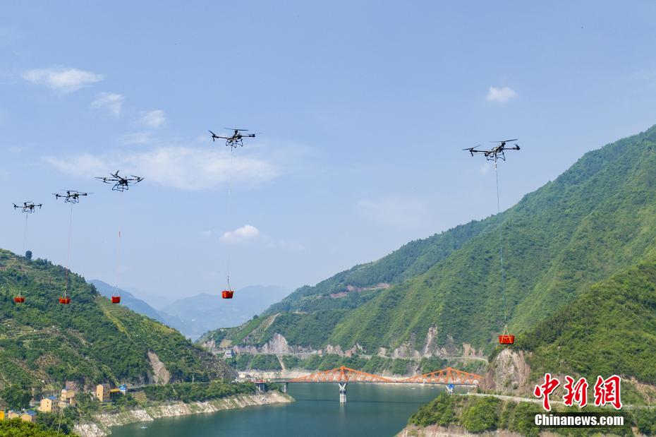 Drones impulsionam colheita recorde de laranja-da-baía no centro da China