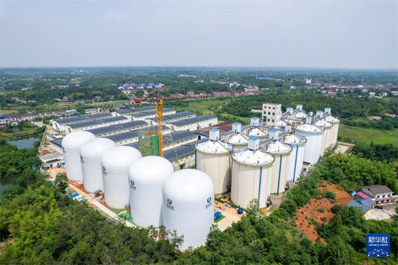 Visita aos primeiros cinco armazéns de gr?os com estrutura de membrana de ar de 9.000 toneladas na China