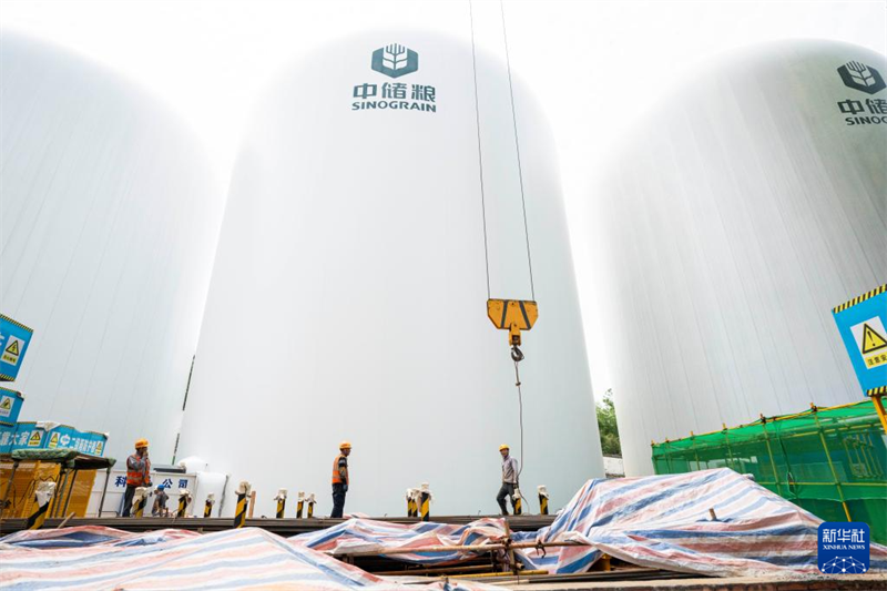 Visita aos primeiros cinco armazéns de gr?os com estrutura de membrana de ar de 9.000 toneladas na China