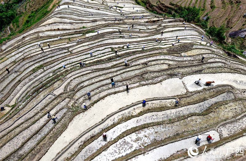 Guangxi: beleza dos terra?os atrai visitantes