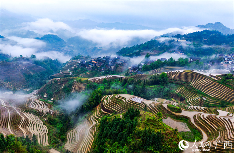 Guangxi: beleza dos terra?os atrai visitantes