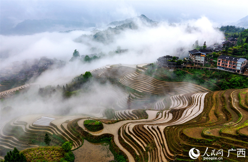 Guangxi: beleza dos terra?os atrai visitantes