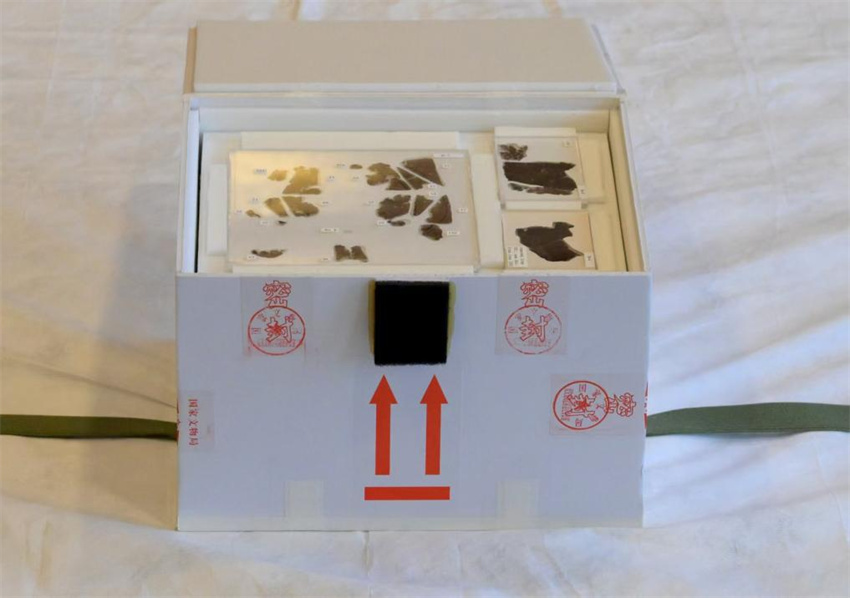 Manuscritos de seda de 2.300 anos s?o devolvidos dos EUA para China