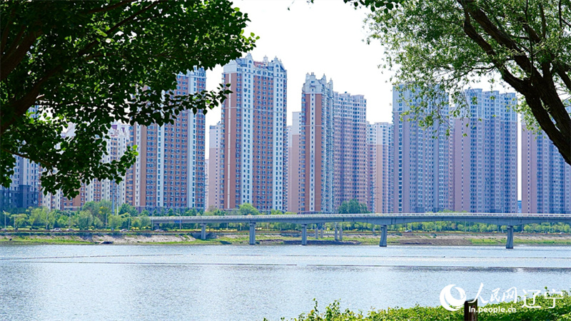 águas cristalinas num corredor verde transformam Jinzhou num paraíso